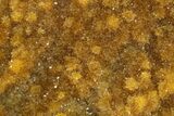 Intense Orange Calcite Crystal Cluster - Poland #311438-1